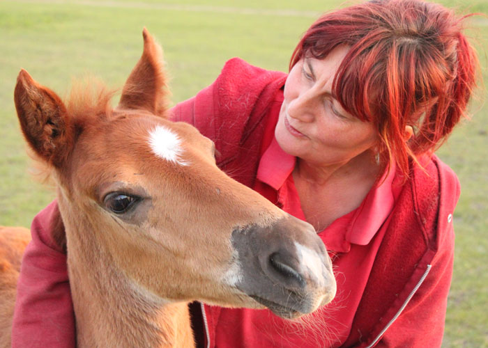 Kokopelli Ranch Manuela Nitz mit Hengst Pancho