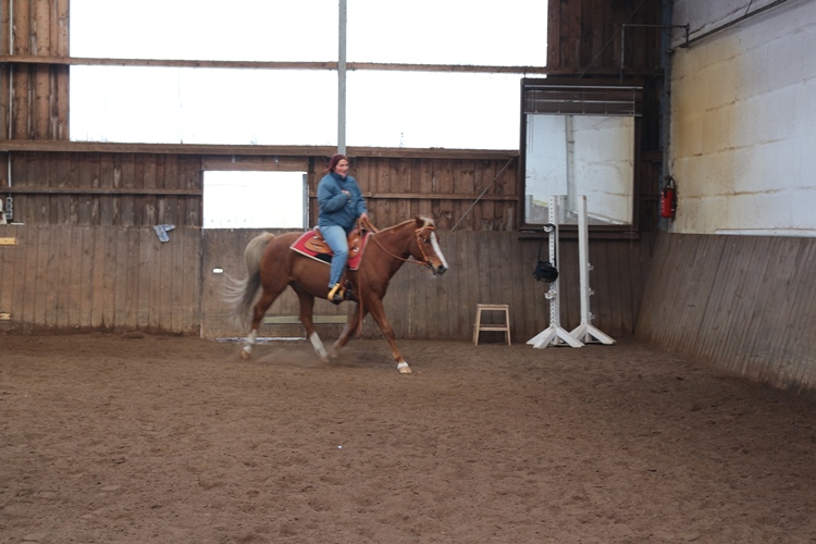 Berittpferd Westernreiten